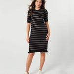 Louie Striped Knit Maternity & Nursing Dress | Milk & Baby