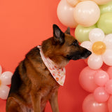 FEELIN' FLOWERFUL DREAM DOG BANDANA